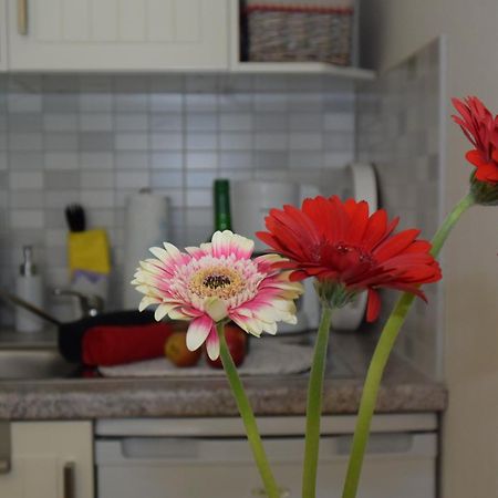 Ostseebad Kühlungsborn Ferienapartments Urlaub Und Meer חדר תמונה