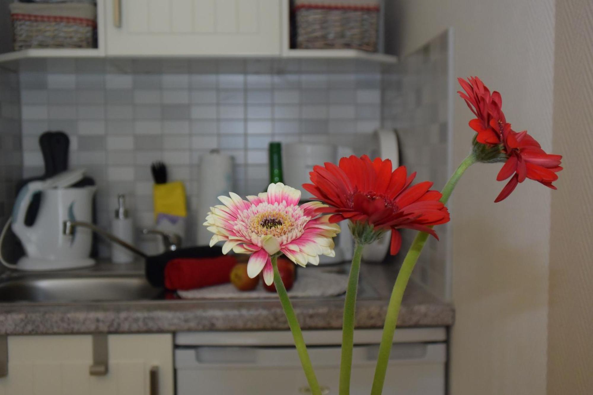 Ostseebad Kühlungsborn Ferienapartments Urlaub Und Meer חדר תמונה